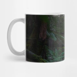 Russell Falls, Tasmania Mug